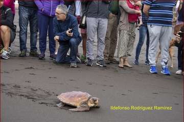 Ruta por la costa en memoria de José Luis González Ruano (Foto Ildefonso Rodríguez y TA)